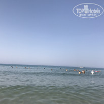 фото из отзыва ID 1586408