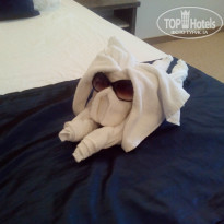 фото из отзыва ID 1586520