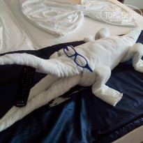 фото из отзыва ID 1586520