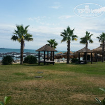 фото из отзыва ID 1586608