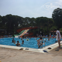 фото из отзыва ID 1586621