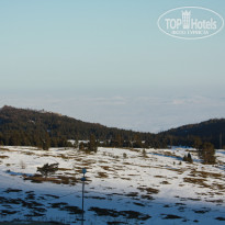 фото из отзыва ID 1586627