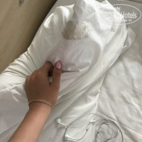 фото из отзыва ID 1586650