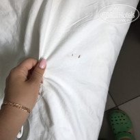 фото из отзыва ID 1586650