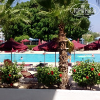 фото из отзыва ID 1586859