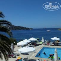 фото из отзыва ID 1586953