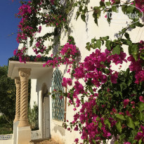 фото из отзыва ID 1586978