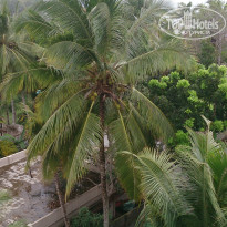 фото из отзыва ID 1583216