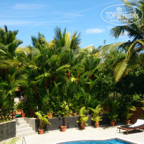 фото из отзыва ID 1583216