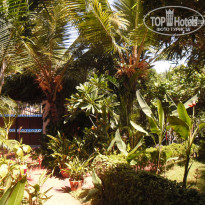 фото из отзыва ID 1583216