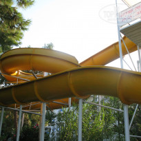 фото из отзыва ID 1587016