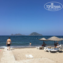 фото из отзыва ID 1587194