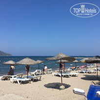 фото из отзыва ID 1587194