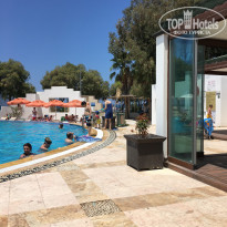 фото из отзыва ID 1587194