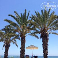 фото из отзыва ID 1587300