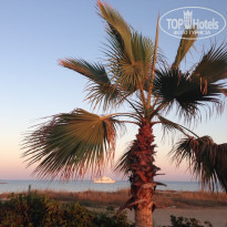 фото из отзыва ID 1587300