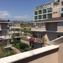 фото из отзыва ID 1587373