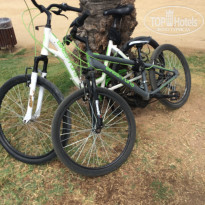 фото из отзыва ID 1587424