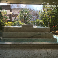 фото из отзыва ID 1587424