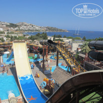 фото из отзыва ID 1582857