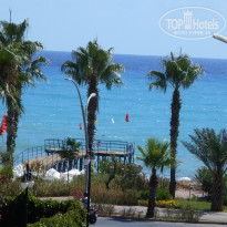 фото из отзыва ID 1587605