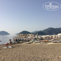 фото из отзыва ID 1587617