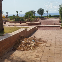 фото из отзыва ID 1587637