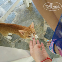 фото из отзыва ID 1587815