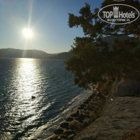 фото из отзыва ID 1587815