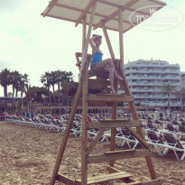 фото из отзыва ID 1587861