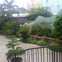 фото из отзыва ID 1588056