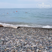 фото из отзыва ID 1588095