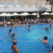 фото из отзыва ID 1588113