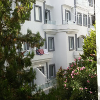 фото из отзыва ID 1588113