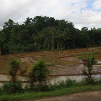 фото из отзыва ID 1588258