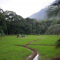 фото из отзыва ID 1588258