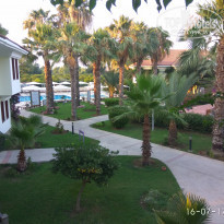 фото из отзыва ID 1588267