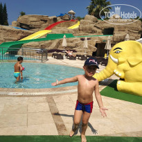 фото из отзыва ID 1588433