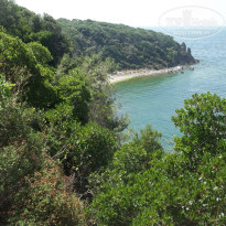 фото из отзыва ID 1588439