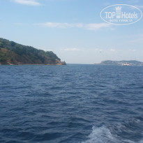 фото из отзыва ID 1588439