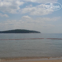 фото из отзыва ID 1588439