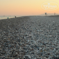 фото из отзыва ID 1588456