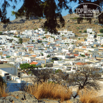 фото из отзыва ID 1588456