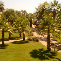 фото из отзыва ID 1588498