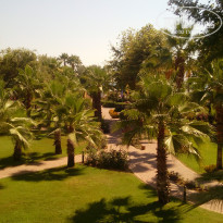 фото из отзыва ID 1588498