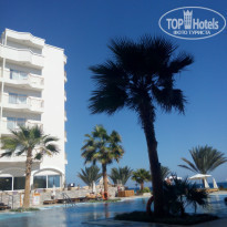 фото из отзыва ID 1588753