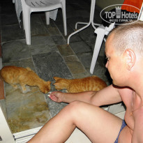 фото из отзыва ID 1588988