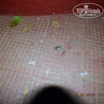 фото из отзыва ID 1588993