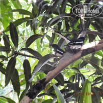 фото из отзыва ID 1588993