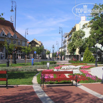 фото из отзыва ID 1589176